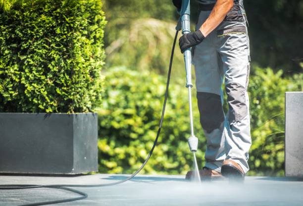 Best Pool Deck Cleaning  in Bylas, AZ