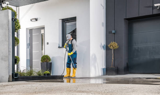 Best Soft Washing  in Bylas, AZ